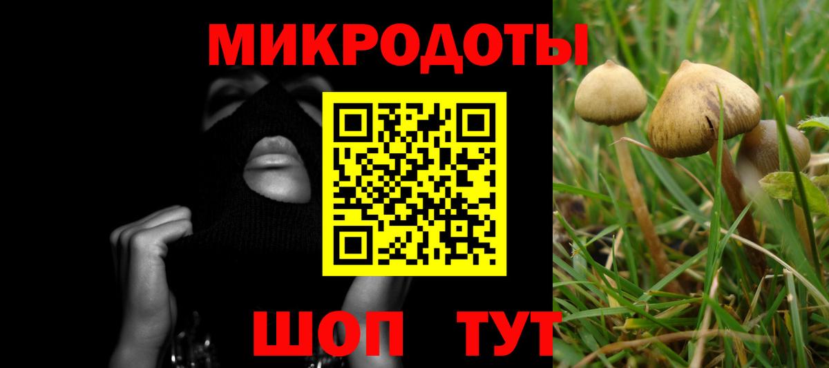 Псилоцибиновые грибы MAGIC MUSHROOMS  Галлюциногенные грибы Psilocybe  купить   Мценск  Вход с VPN 